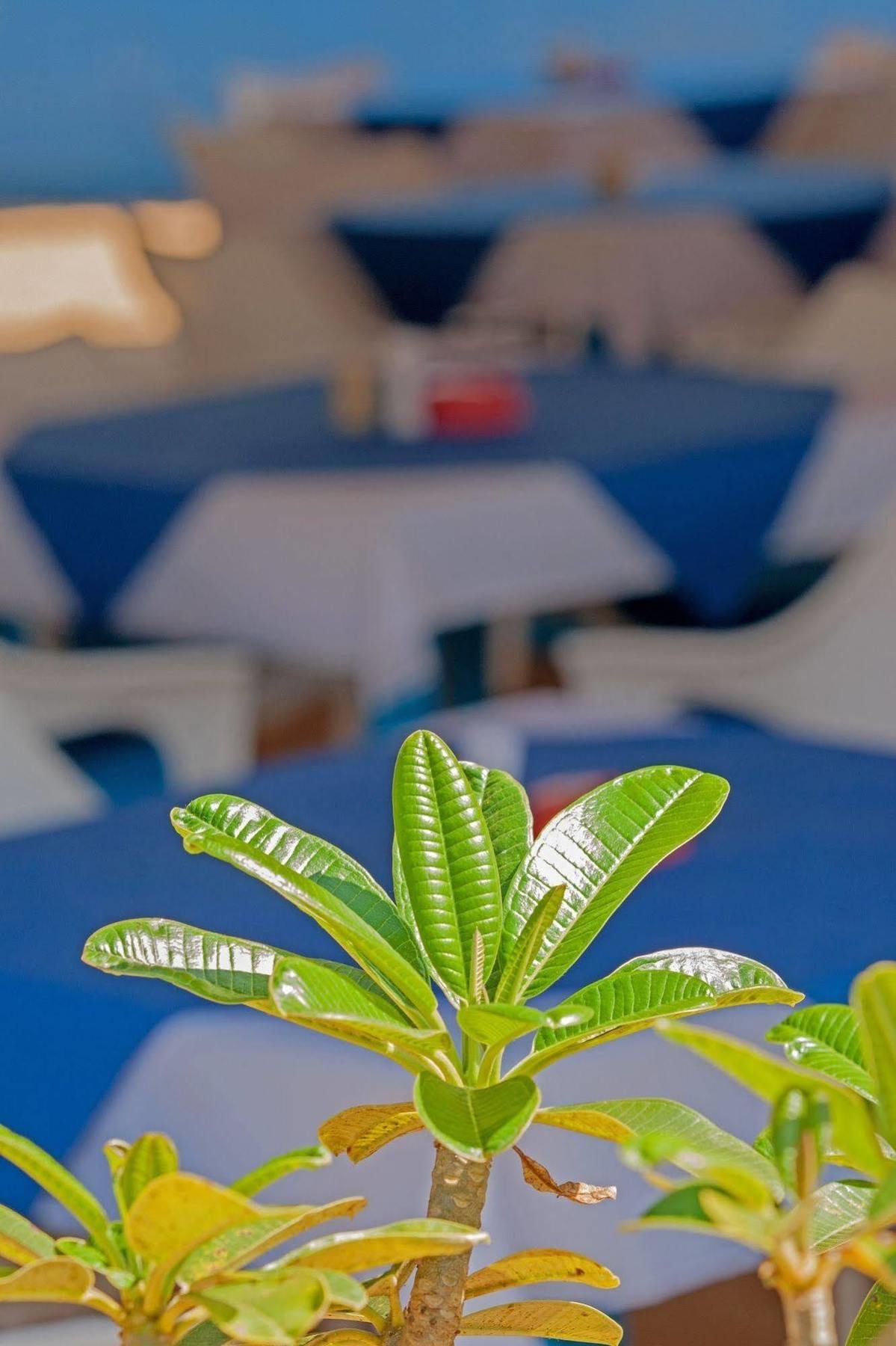 Cuba Agonda Bed and Breakfast Buitenkant foto